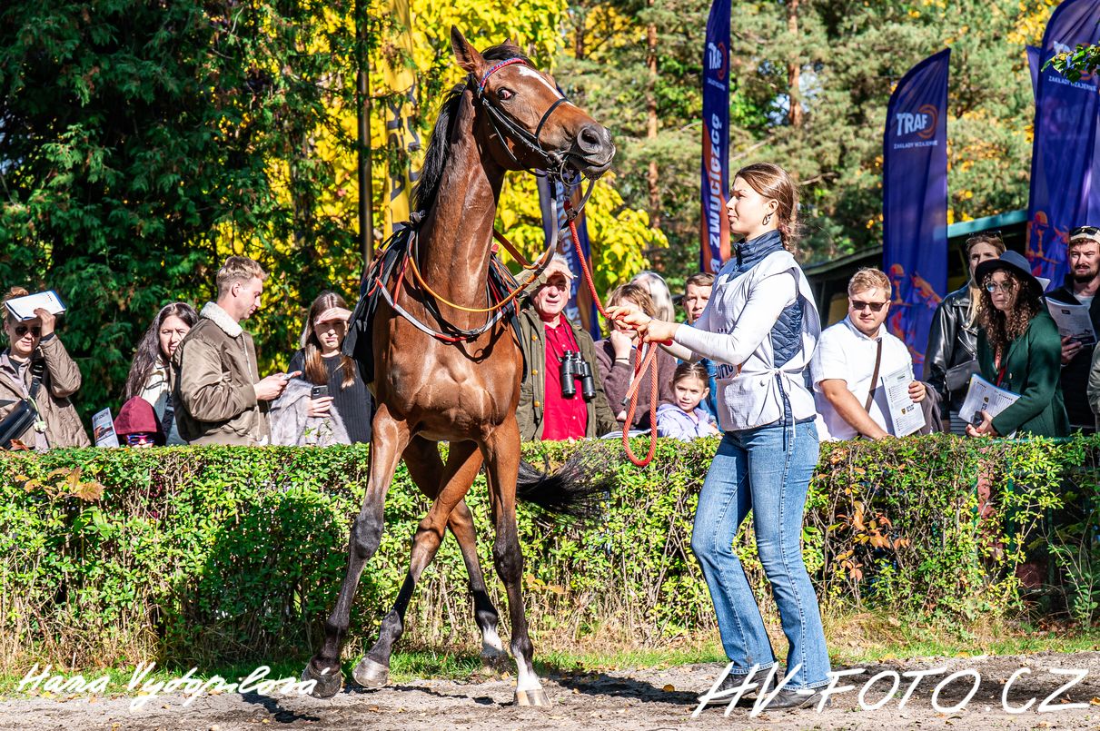 DSC_1966 kopie.jpg